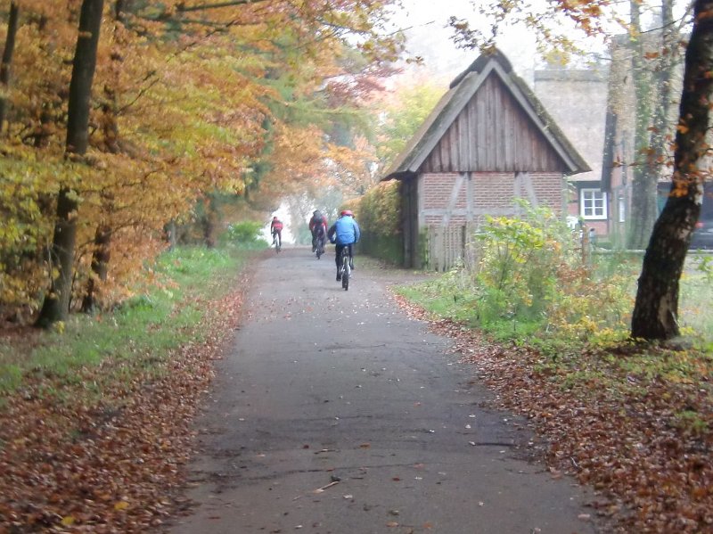 Wilseder Berg 1 2010 037
